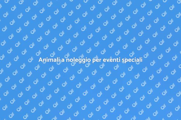 Rendi unici i tuoi eventi con animali