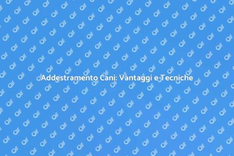 Addestramento Cani: Guida Pratica