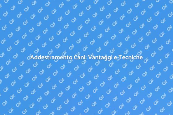 L'importanza dell'Addestramento Cani