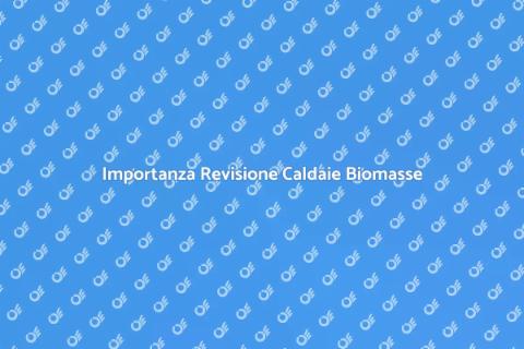 Revisione Caldaie a Biomasse Necessaria