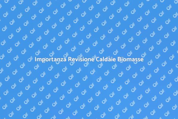 Caldaie a Biomasse: Revisione Necessaria