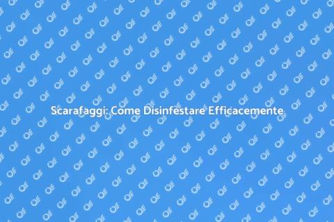 Controllo Disinfestazione Scarafaggi