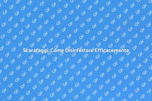 Liberati dagli Scarafaggi Oggi Stesso