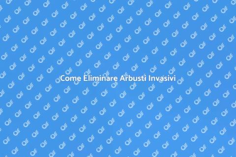 Rimuovere Arbusti Invasivi nel Giardino