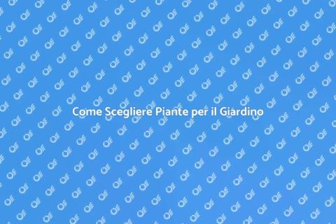 Acquistare Piante da Giardino
