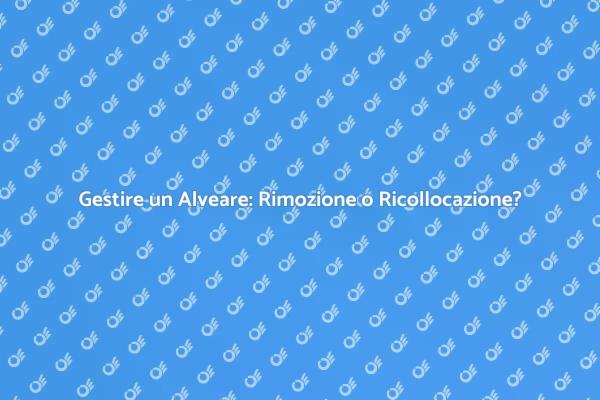 Alveari: Rimuovere o Ricollocare?