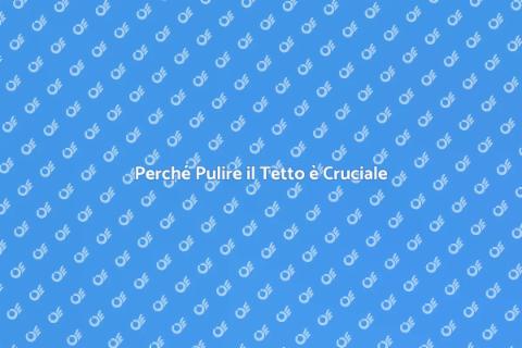 Pulizia del Tetto: Manutenzione Essenziale