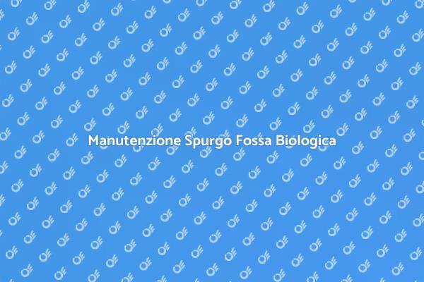 Spurgo Fossa: Fondamentale per la Casa