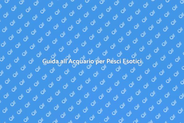 Acquario Esotico: Bellezza e Relax