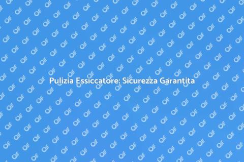 Pulizia Sfiato Essiccatore Sicura