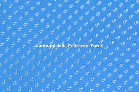 Pulizia Professionale del Forno