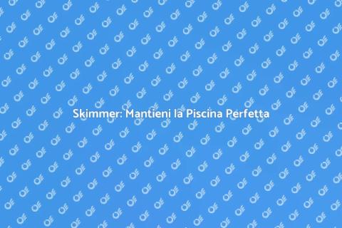 Riparazione Skimmer per Piscina Perfetta