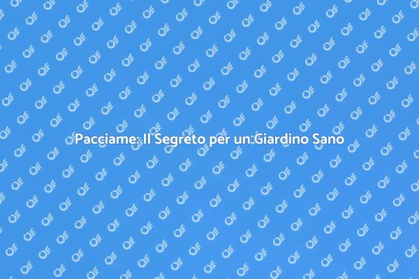 Pacciame: Il Tuo Giardino Merita di Più