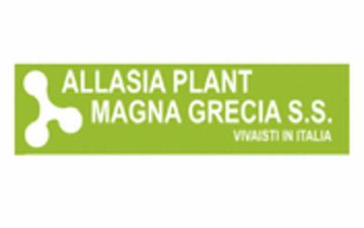 Allasia Plant Magna Grecia  - Foto 1