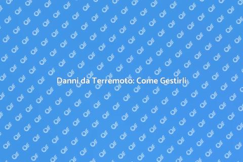 Gestione Danni da Terremoto: Guida