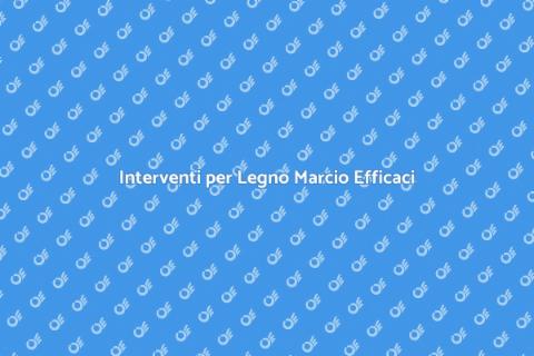 Riparazione Putrefazione Legno Efficace