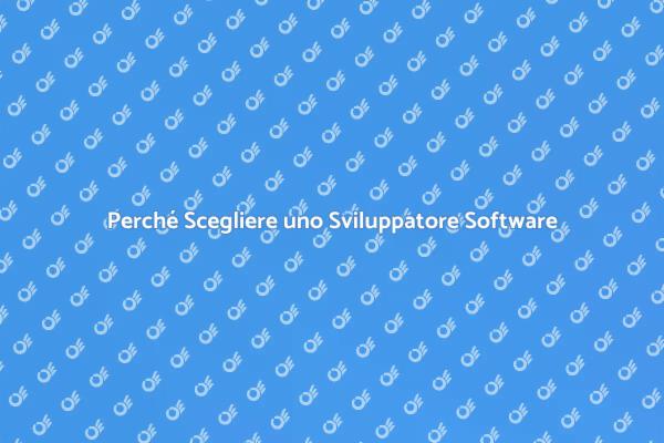 L'importanza di un Sviluppatore Software