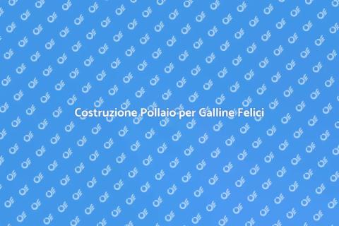 Costruire un Pollaio: Guida Pratica