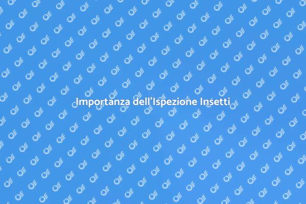 Perché fare un'ispezione per insetti?