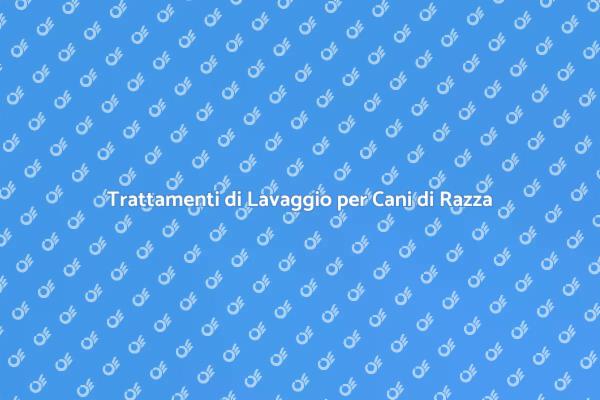 Lavaggio Professionale per Cani di Razza