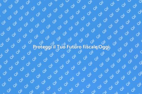 Assistenza Fiscale per Controlli Sicuri