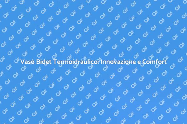 Vaso Bidet Termoidraulico: Efficienza e Comfort