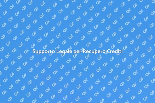 Crucialità dell'Assistenza Legale Crediti