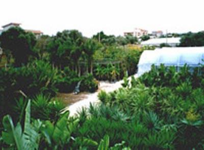 Spazio Verde  - Foto 2