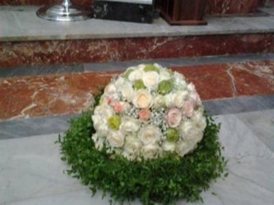 Vitalflor  - Foto 5