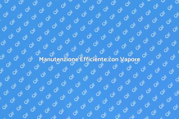Lavaggio a Vapore: Efficacia Industriale