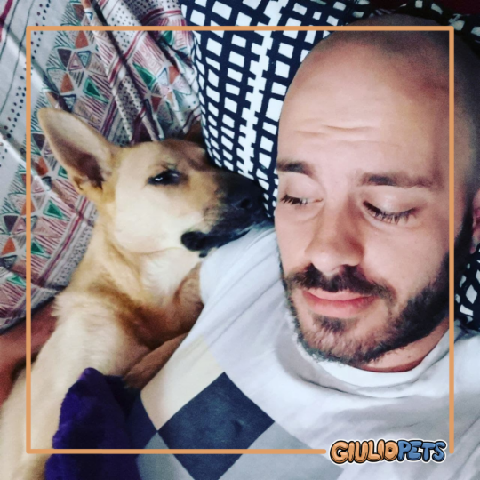 Giulio Paolo Alberto Vitulli - Foto 2
