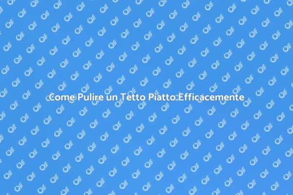 Importanza della Pulizia del Tetto Piatto