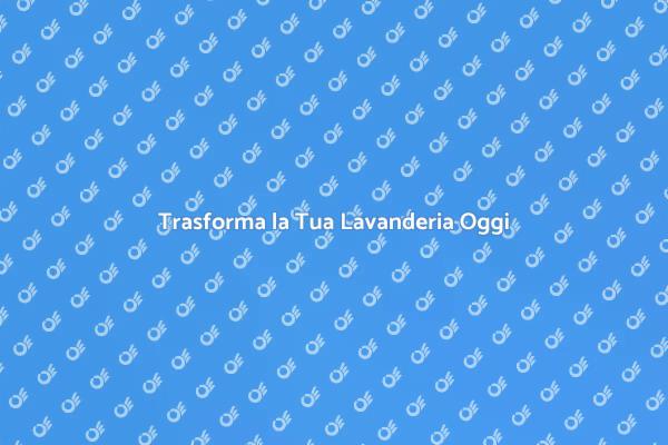 Ristrutturazione Efficiente della Lavanderia