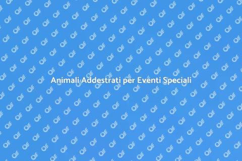 Addestramento Animali per Cerimonie