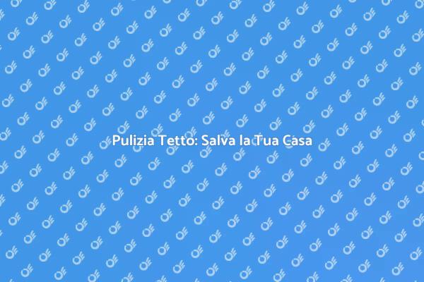 Mantieni il Tetto della Tua Casa Pulito