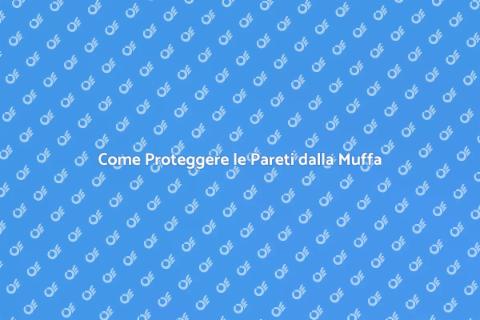 Proteggere le Pareti dalla Muffa