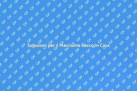 Riparare il Marciume Secco in Casa