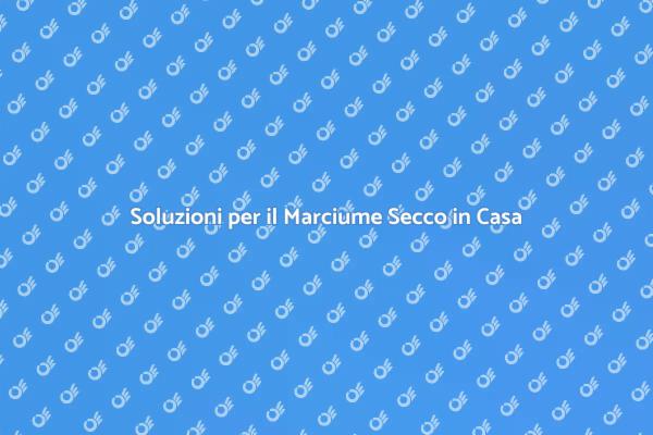 Come Riparare il Marciume Secco