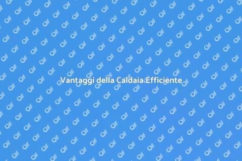 Caldaia Basso Consumo Energetico