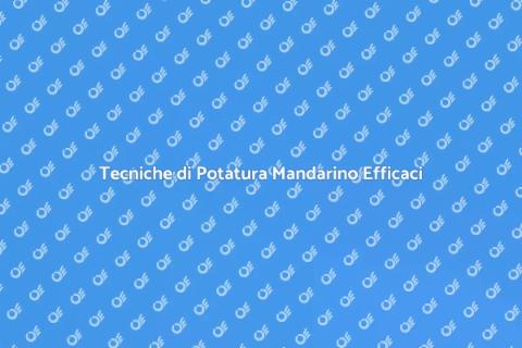 Potatura Alberi di Mandarino Essenziale