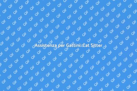 Servizio Cat Sitter per Gattini