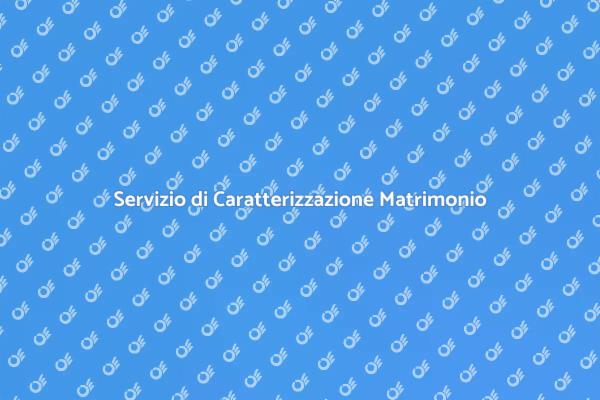 Caratterizzazione Matrimonio: Un Tocco Unico