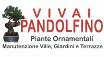 Vivai Pandolfino  - Foto 1