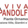 Vivai Pandolfino 