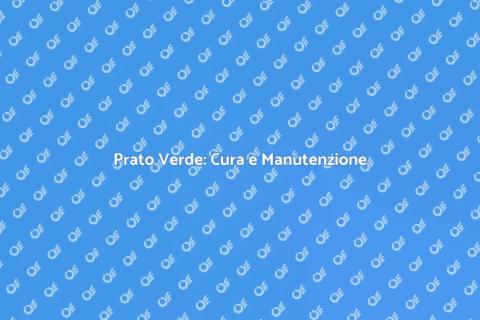 Cura del Prato: Segreti per un Verde