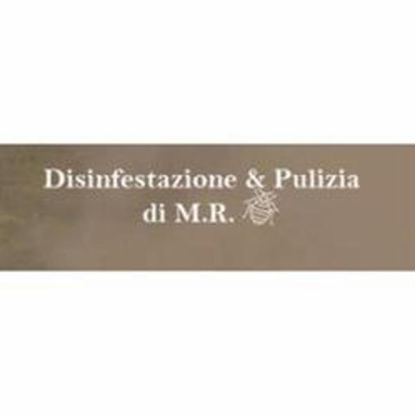 Disinfestazione e Pulizia - M.R.  - Foto 1