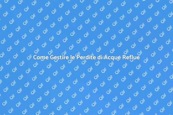 Soluzioni per Perdite di Acque Reflue