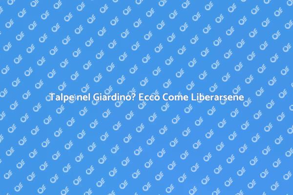 Liberati delle Talpe nel Tuo Giardino
