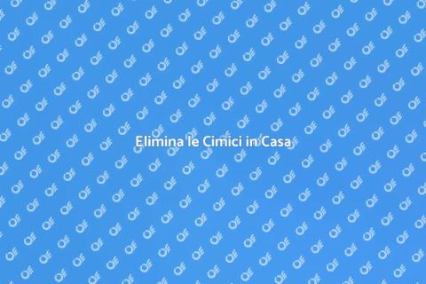 Disinfestazione Cimici in Casa