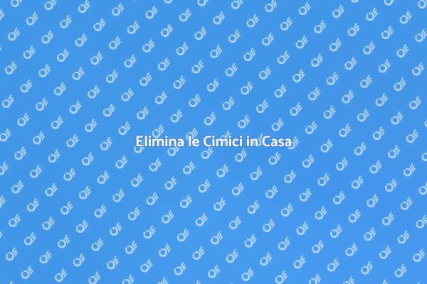 Combatti le Cimici in Casa